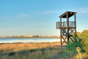 Torrevieja